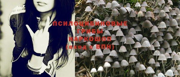 скорость Зерноград