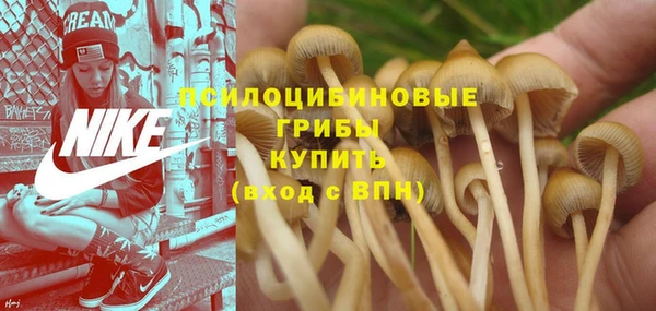 MDMA Premium VHQ Зеленодольск
