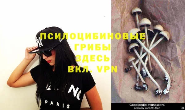 кокаин перу Зеленокумск