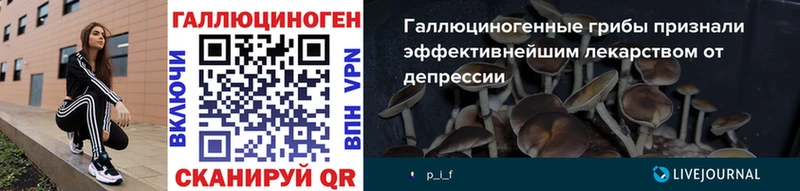 Галлюциногенные грибы Psilocybine cubensis  Купить закладки  Новозыбков 